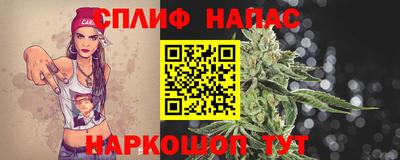 индика Нальчик