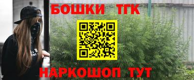 индика Нальчик